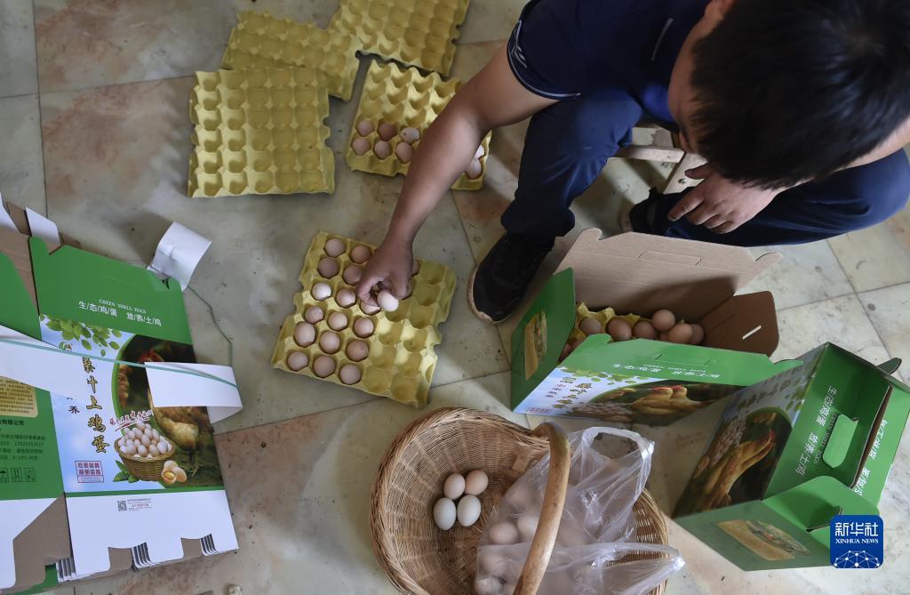 ag捕鱼技巧